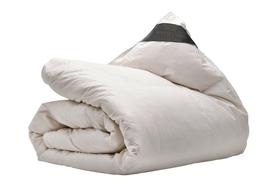 Ten Cate Premium 4-Seizoenen Eendendonzen Dekbed